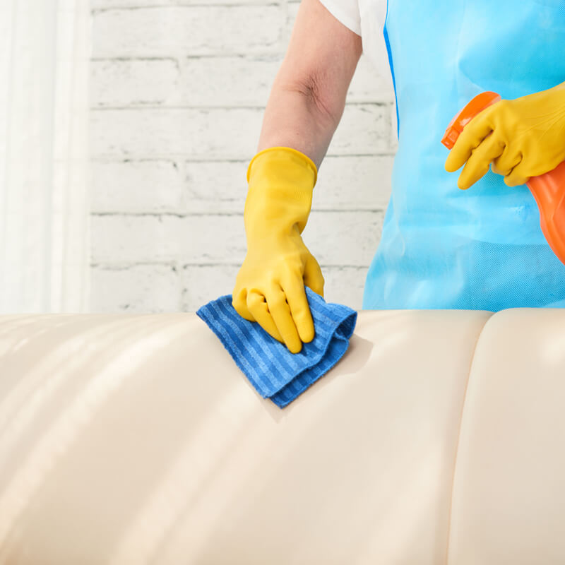 Furniture Cleaning