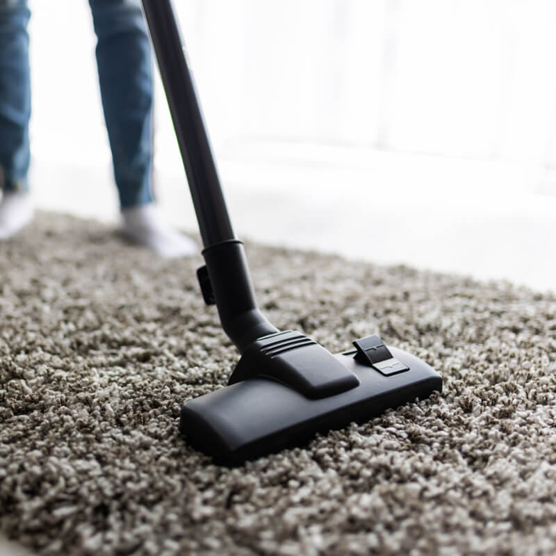 Rugs and Carpets Cleaning